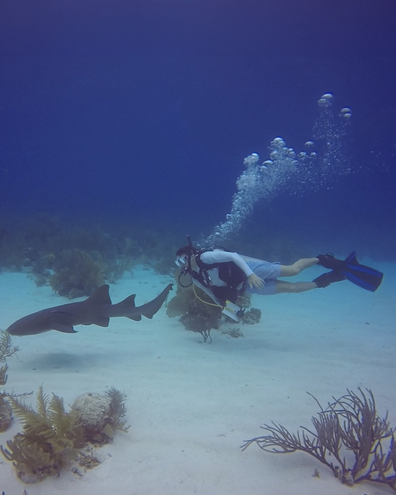 Student swims underwater during may term travel