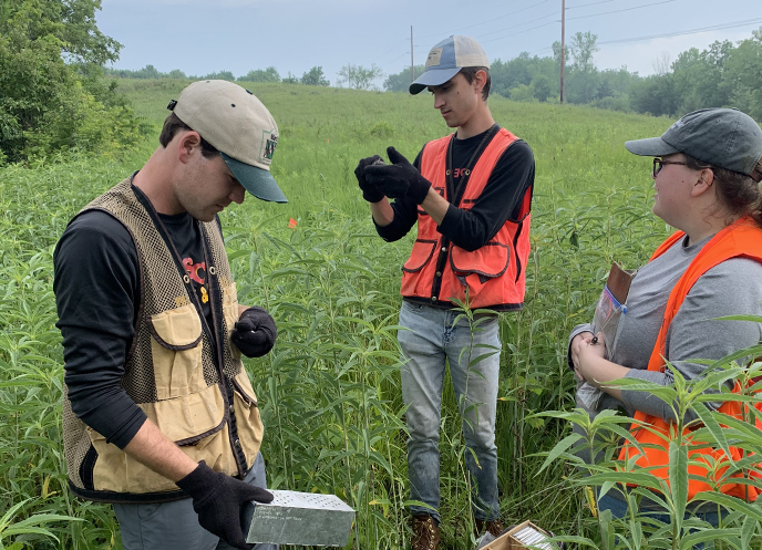 Students doing research out in the field